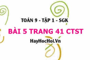 Bài 5 trang 41 Toán 9 tập 1 Chân trời sáng tạo